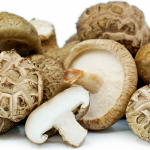 Shiitake Mushroom