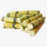 Sugar Cane