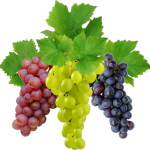 Grapes