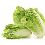 Chinese Cabbage