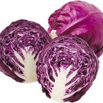 Purple Cabbage