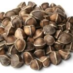 Moringa Oleifra seeds