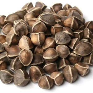Moringa Oleifra seeds
