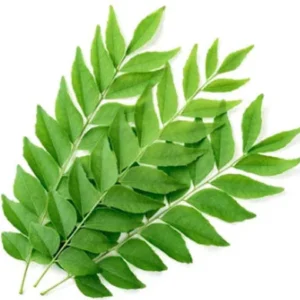 Curry leaves