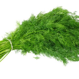 Dill