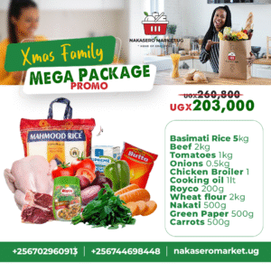 Xmas Family Mega Package Promo